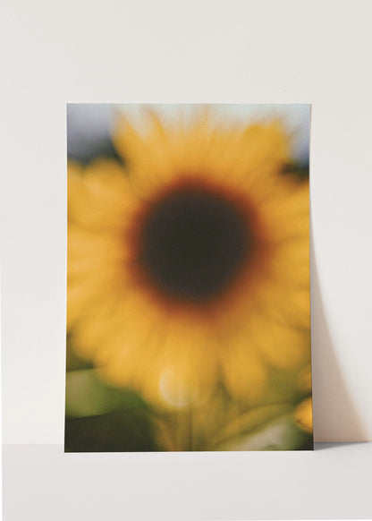 Hello Sunshine